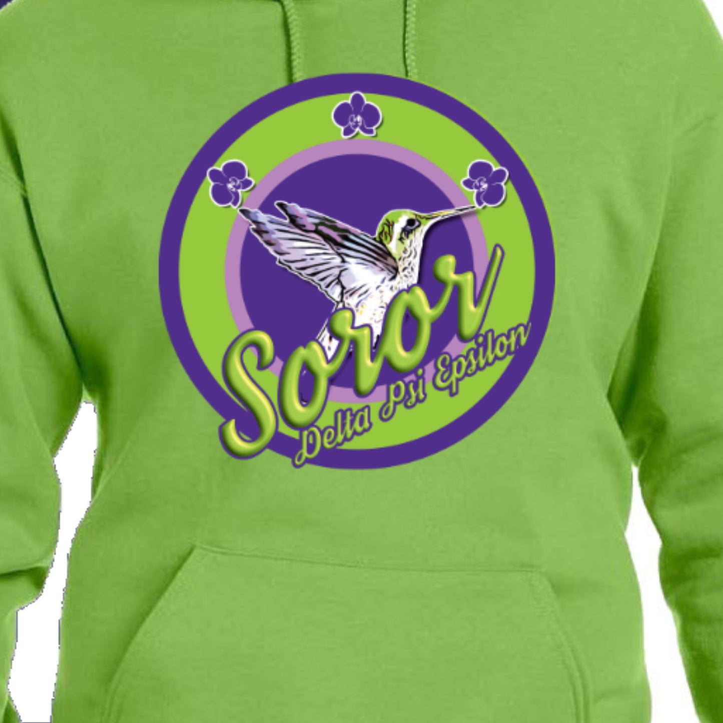 DPSIE Soror Circle with Hummingbird Hoodie